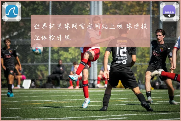 世界杯买球网官方网站上线 球迷投注体验升级