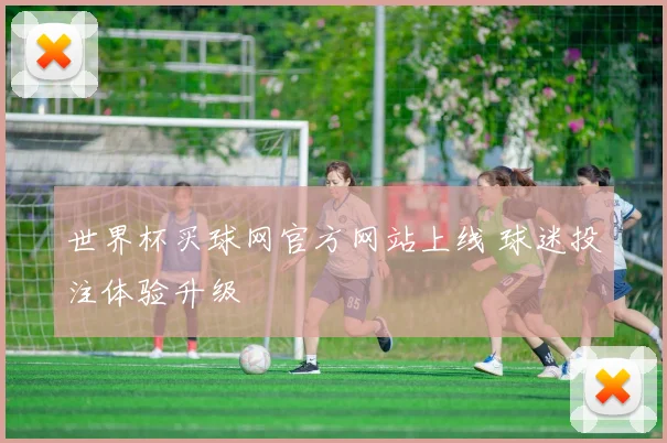 世界杯买球网官方网站上线 球迷投注体验升级
